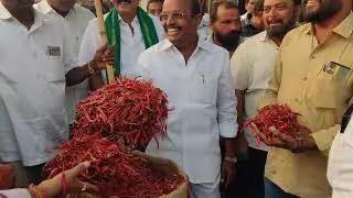 29/12/2025 ఈరోజు ఖమ్మం మార్కెట్ మిర్చి జెండా పాట ధర#mirchiratekhammam#chilliesprice#mirchi 