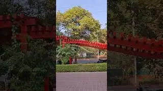 🎥 India Habitat Centre (IHC) New Delhi&ndash; Complete Tour | Delhi&rsquo;s Cultural & Convention Hub