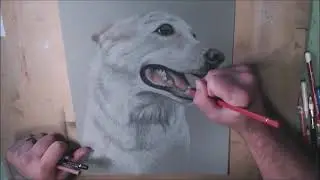 Portrait of Buck - time lapse video