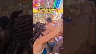 OzoraFestival 2025✨🌈Hi-Tech Vibes #hungary #psytrance #party #electronicmusic #techno #shorts #viral