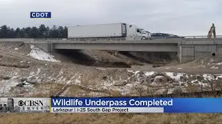 A New Wildlife Underpass Is Now Complete Along The I-25 South Gap Project