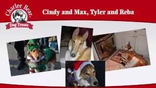 Dogs Love Charlee Bear Dog Treats - All Natural and Made in the USA