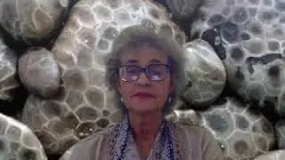 The Legend of the Petoskey Stone