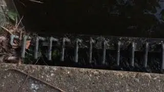 Longford river