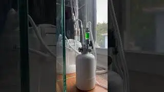 Ultum Nature Systems Glass Stand and UNS 45T