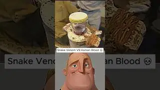 Snake Venom Turns Blood into Jelly in Seconds! #shorts