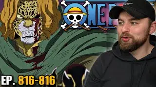 PEDRO BACKSTORY! | First Time Reacting to One Piece Episodes 815 & 816