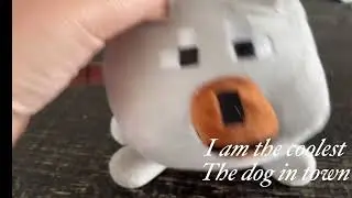 This is ￼ josh