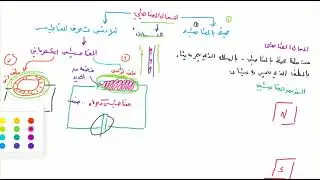للطلاب المتأخرين والجدد بدورة التحصيلي:بث الفيزياء الكهرومغناطيسية ج1 يغنيك عن بثوث الفيزياء السابقة