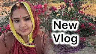 पूरे दिन क्या किया? &ndash; Daily Routine Vlog | Real Life Story