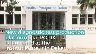 The diaTROPIX platform and why the MSF Foundation supports this initiative. Reportage.