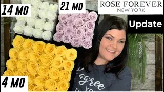 Rose Forever New York // *UPDATE* on ALL 3 Rose Arrangements