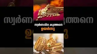 Latest News | 29 /01/26 | Nation News Live #goldrate #knbalagopal #kasaragod #budget #keralaassembly