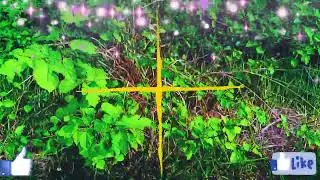 local video Bara Daily vines.     باڑہ ڈیلی وائنز   مقامی ویڈیو