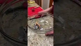 A video one chemical AND one physical change
