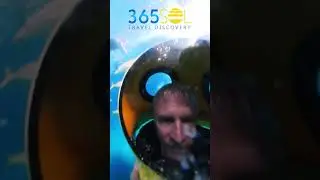 At the end of Boss underwater adventure | Norwegian Viva Cruise #365sol