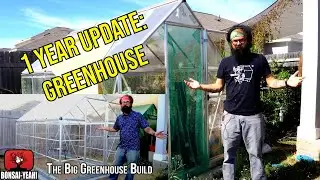Amazon Palram GREENHOUSE: 1 year update - Bonsai-YEAH!