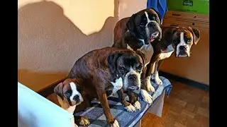 4 Generationen allabendliches füttern & waschen