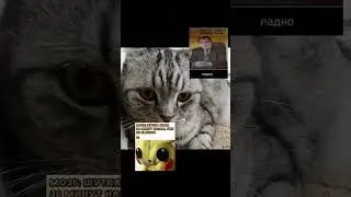 мем 85 #хочуврек #memes #мем