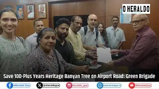 Save 100-Plus Years Heritage Banyan Tree on Airport Road: Green Brigade