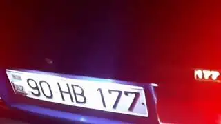 #HB177 Qaqawın &Ccedil;i&ccedil;əyi ⚘