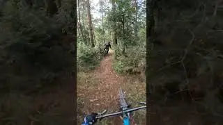 Crazy MTB Ride in Nepal #nepal #mtb #extremesport #rakeshlama #viral #trending #ytshorts
