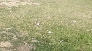 Siwan Lockdown Video