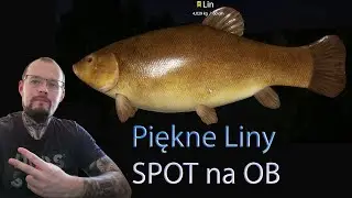 Russian Fishing 4: Liny *** Stary Gr&oacute;d *** Tench spot OB