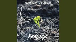 Feelings