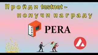 Новый testnet Pera Finance