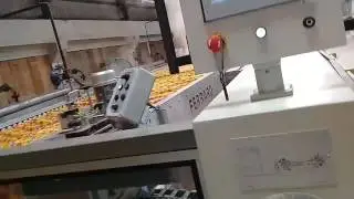 Fabrics compaction machine Ferrero 2017