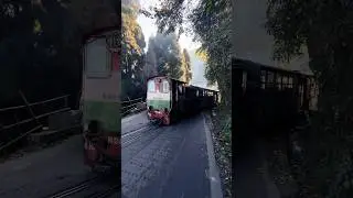 Vistadom coach Darjeeling toy train #shortvideo #darjeelingtrip #ytshorts