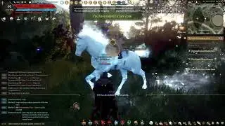 BDO- wooden horse quest Olvie academy