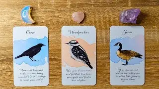 EXCITING NEWS FROM YOUR FUTURE SELF  Pick A Card  Timeless Tarot Reading