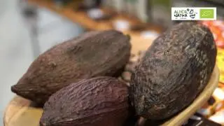 Alternativa 3 en BioCultura BCN 2017