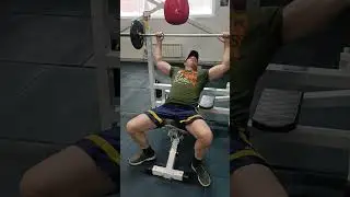 Веер Жима Штанги #17