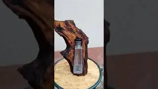 brandy holder