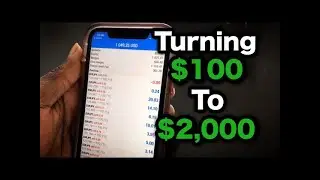 Turn $100 to $2,000 in Weeks, Intelligence Prime Capital, AIA BOTS IPCapital, Best Forex Bots 2022