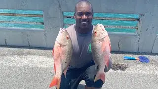 *MOST EXPENSIVE BAIT* catches Mutton Snapper! (FL Keys Bridge Fishing)