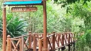 Visit to Dhani Nalla Mangrove Walkway Beach @Betapur, Middle Andaman - 21 Sept 2024