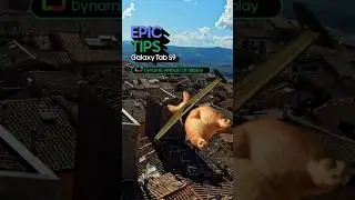Epic Tips x Galaxy Tab S9 Series: Dynamic AMOLED 2X Display | Samsung