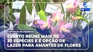 RF Com Voc&ecirc; - Exposi&ccedil;&atilde;o de orqu&iacute;deas acontece neste final de semana