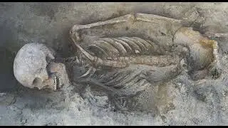 В Венгрии обнаружены останки элитных воинов: захоронение возрастом 1100 лет раскрывает династию б...