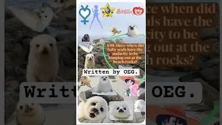Fan Fiction Short Ad - Ami Mizuno learning more about Baby Seals (0:15)