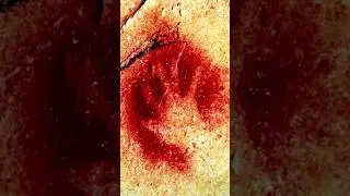 Chauvet Cave Prehistoric Art/ Paintings And OLDEST Known Form of Animation #historicaltidbits
