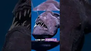 Rare photos compilation