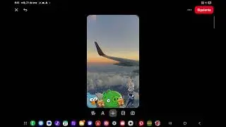 Max bird se Porto Bien En Viaje Sanseiso 