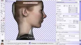Morphing and Painting a Character Head - Part 4 of 6