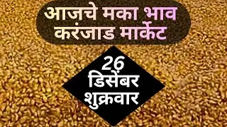 Karnjad Maka Market Price Today 26 december Maize Rate | Business & Export Insights