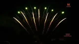 Liuyang 65 Shots 1.3G Professional Fireworks Cake Display Chinese Wholesale Festival Fireworks